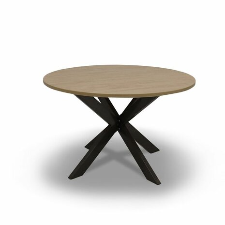 Ronde Tafel met Stervoet 120 cm