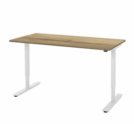 Electrisch verstelbaar bureau 120 x 80 cm Electrisch verstelbaar bureau 120 x 80 cm
