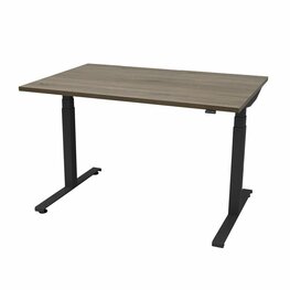 Electrisch verstelbaar bureau 120 x 80 cm Electrisch verstelbaar bureau 120 x 80 cm